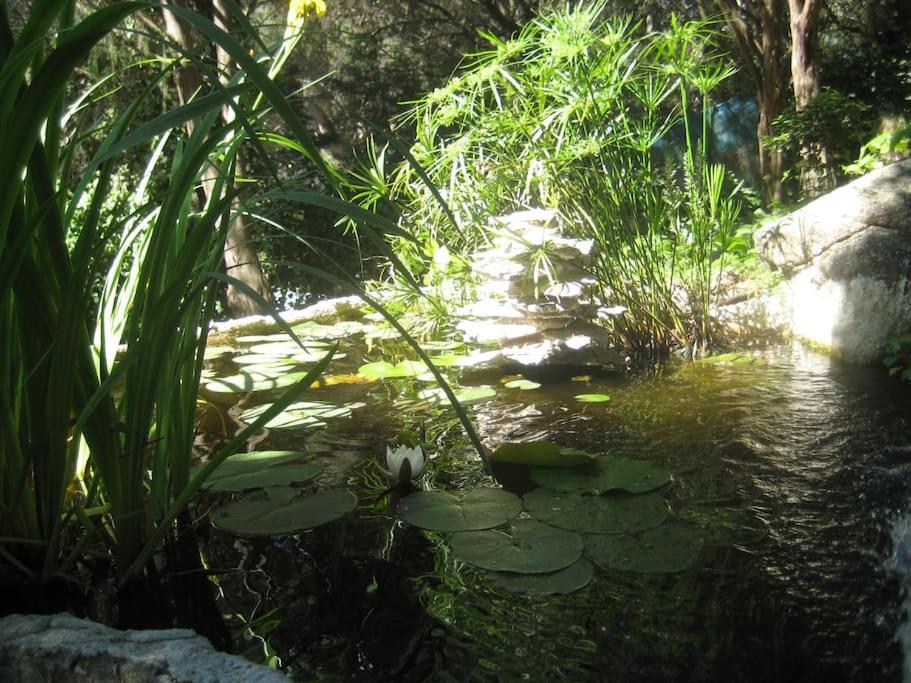 La Rocalla del Tiétar Sotillo de la Adrada Exterior foto
