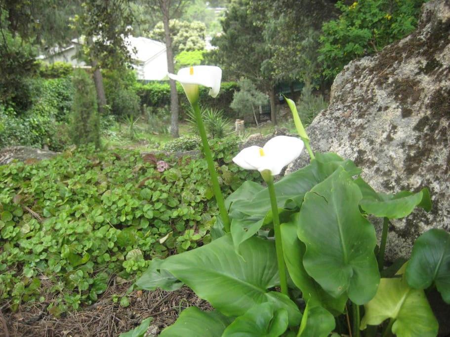 La Rocalla del Tiétar Sotillo de la Adrada Exterior foto